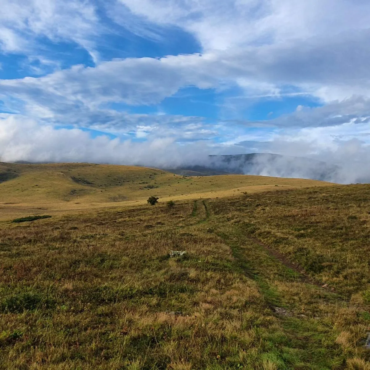 Stara Planina Enduro Expedíció – A Túravezető Kedvence - Image 9