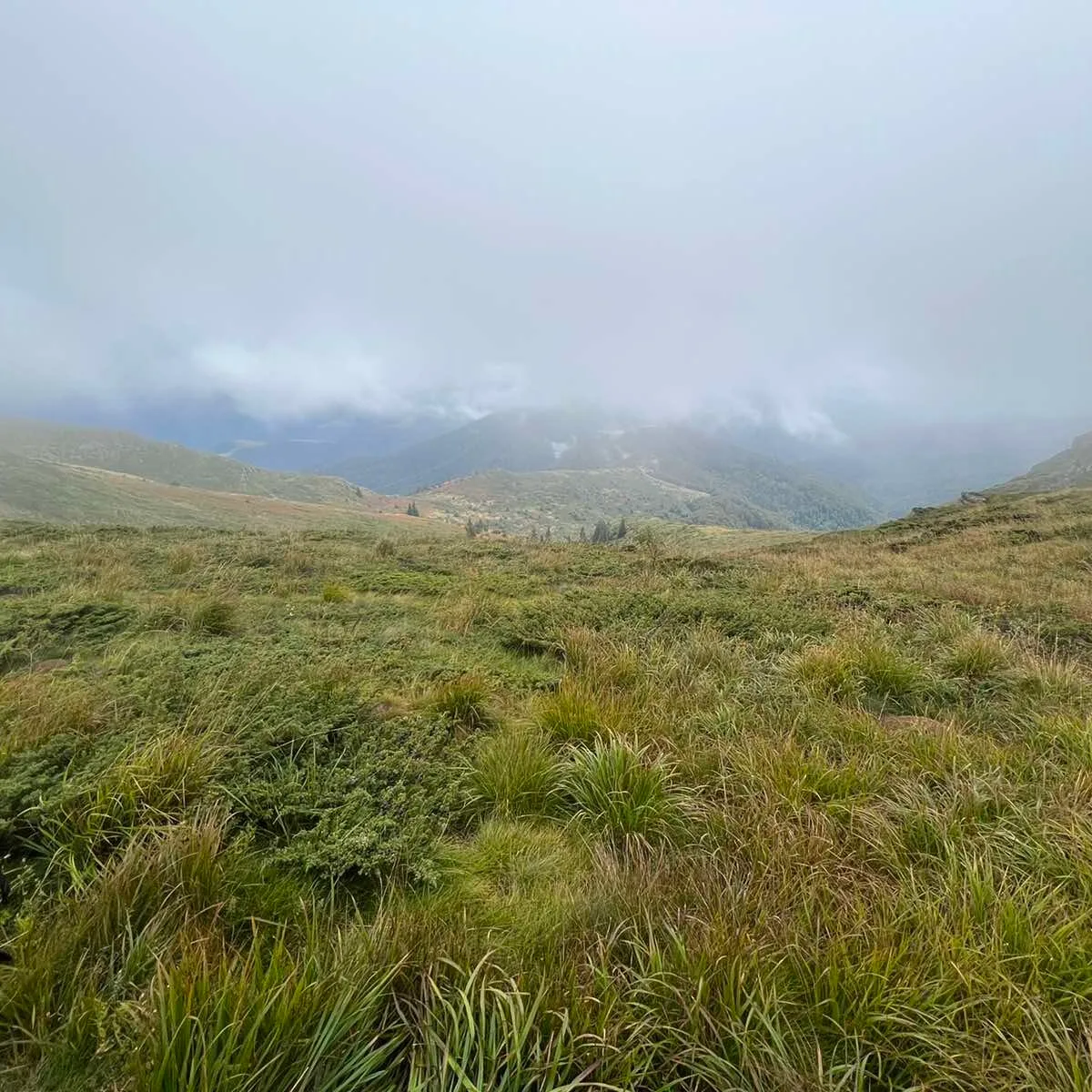 Stara Planina Enduro Expedíció – A Túravezető Kedvence - Image 15