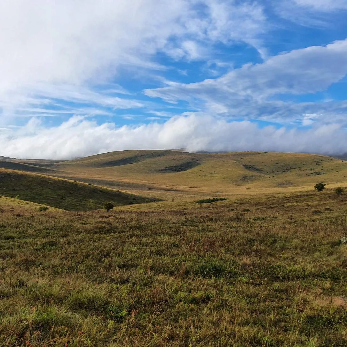 Stara Planina Enduro Expedíció – A Túravezető Kedvence - Image 12