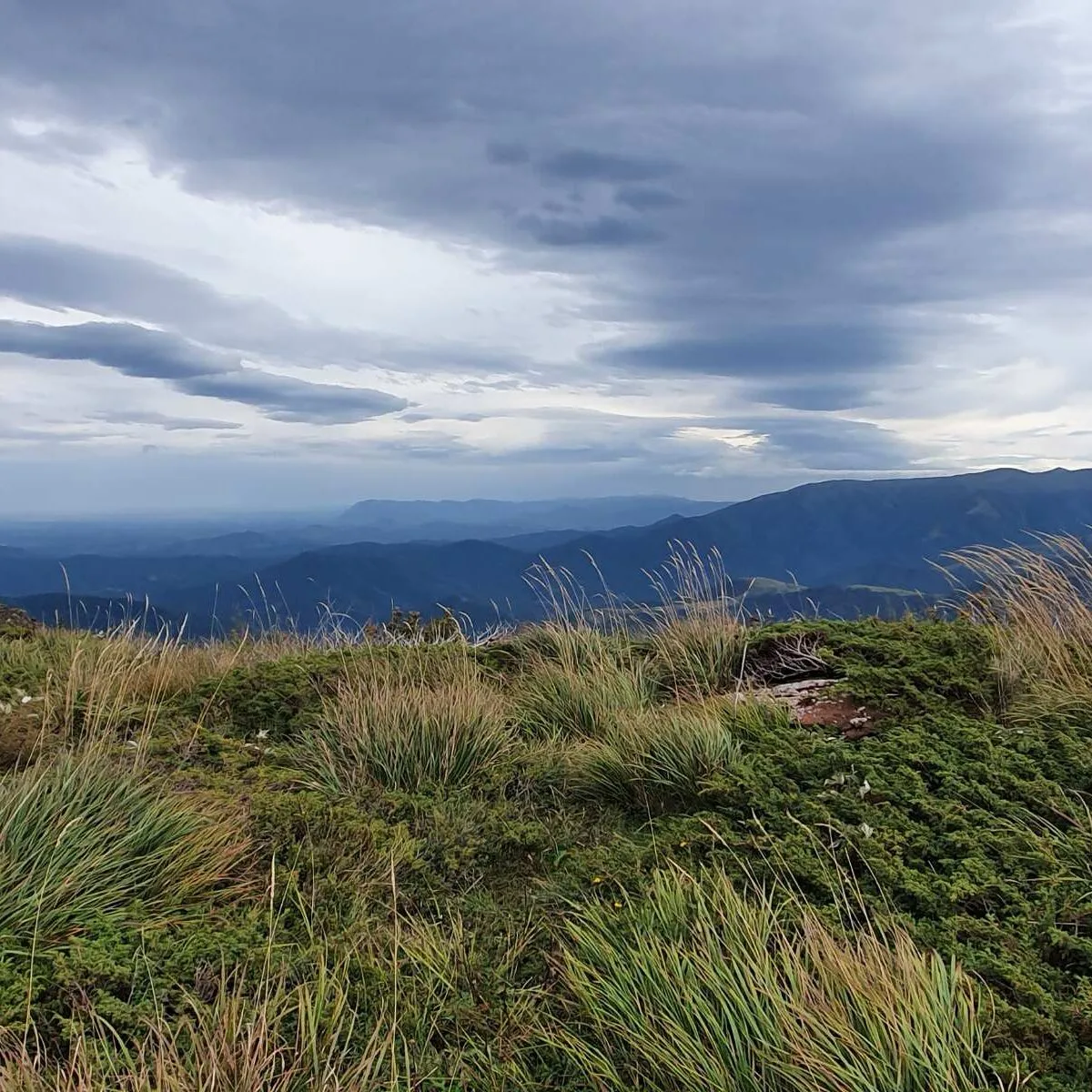 Stara Planina Enduro Expedíció – A Túravezető Kedvence - Image 19