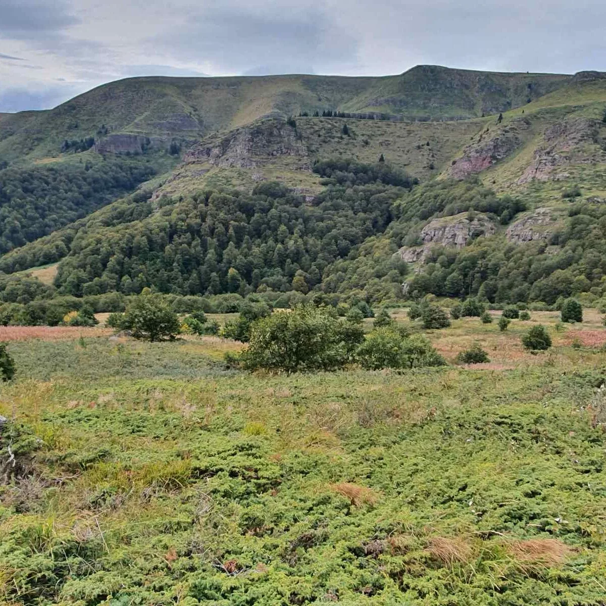 Stara Planina Enduro Expedíció – A Túravezető Kedvence - Image 8