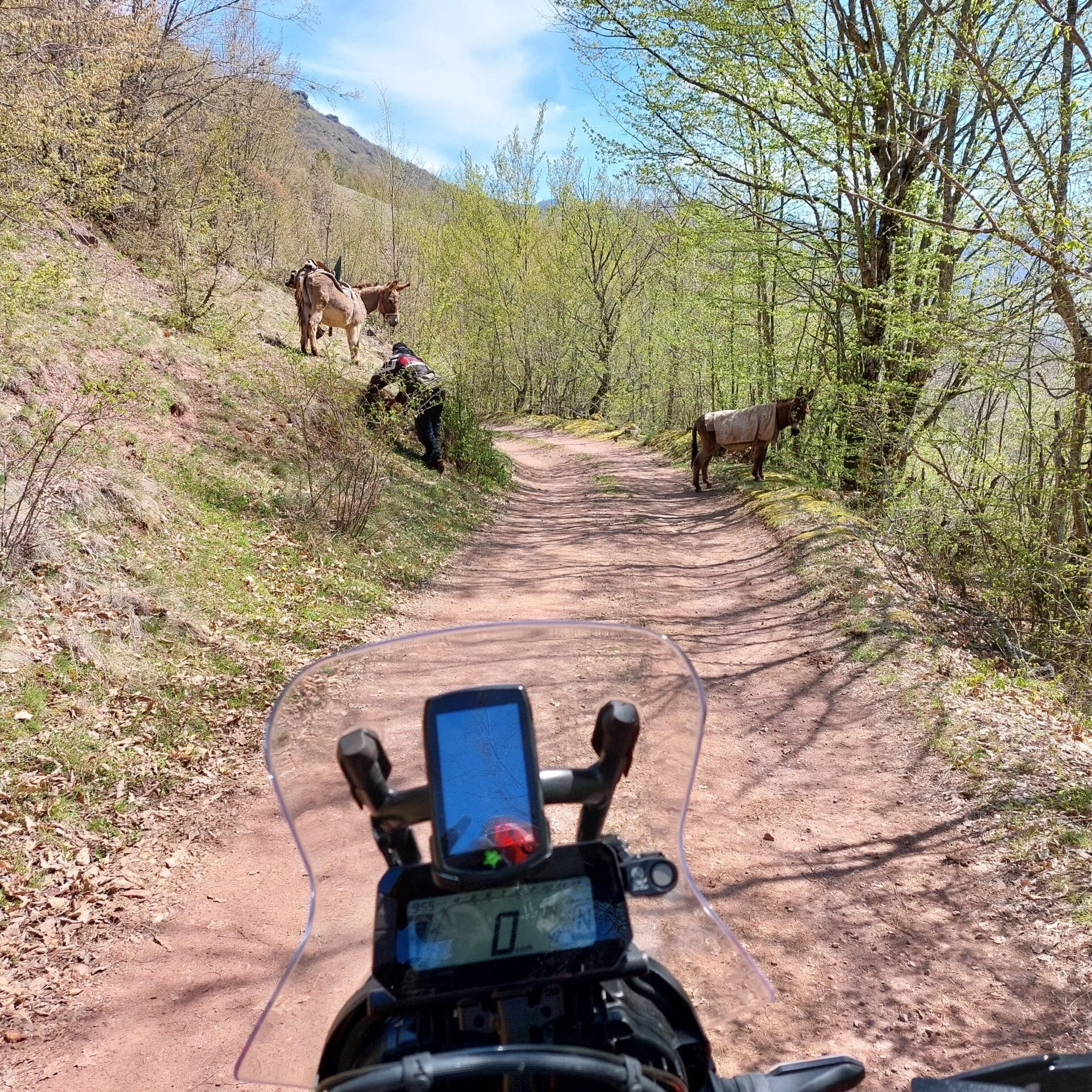 Stara Planina Enduro Expedíció – A Túravezető Kedvence - Image 2